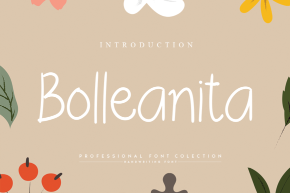 Bolleanita: A Casual Handwritten Font for Authentic Brands