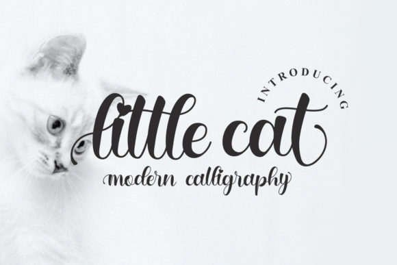 Little Cat Font: A Web Designer’s Guide