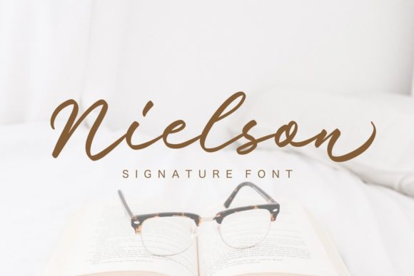 Nielson Font: A Web Designer’s Review