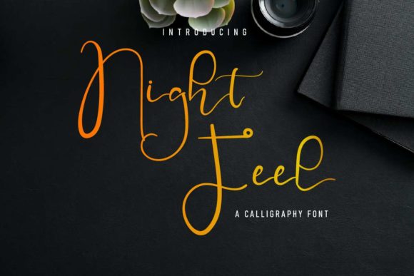 Night Feel Typeface: Elegant Script for Branding
