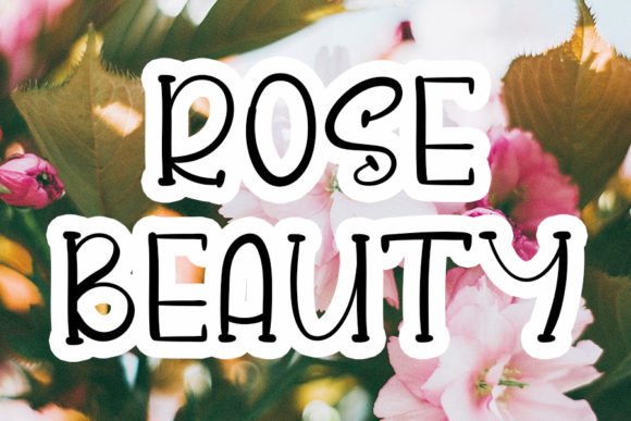Rose Beauty Font: A Web Designer’s Review
