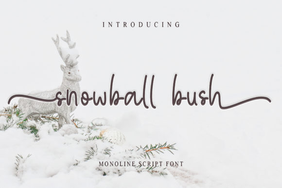 Snowball Bush: A Designer’s Honest Review