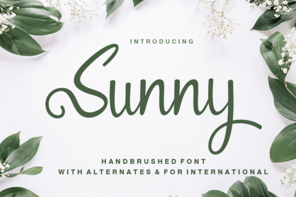 Sunny: The Elegant Handwritten Font for Crafters