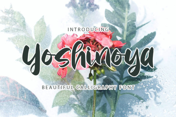 Yoshinoya: A Bold Script Font for Crafters